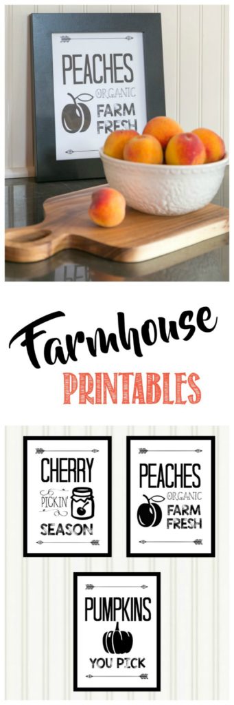 farmhouse-printables-creative-cain-cabin