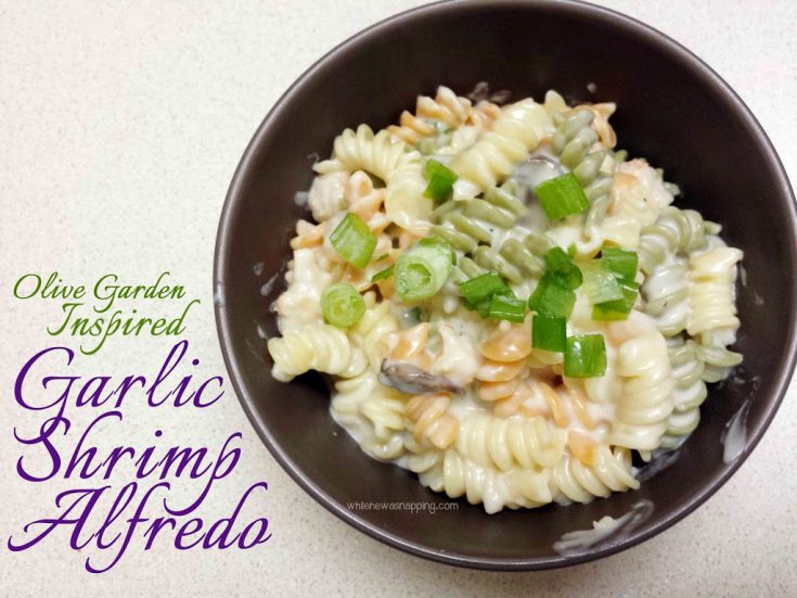 Garlic-Shrimp-Alfredo-Pasta-Hor1