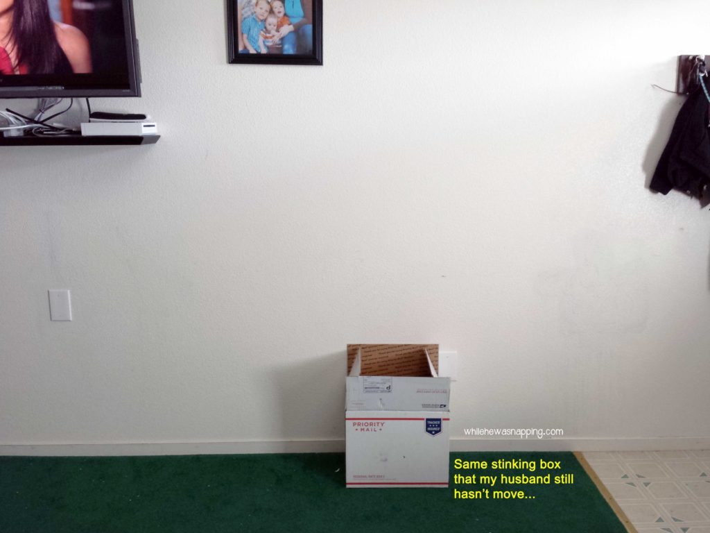 Removing Permanent Marker from Textured Walls An Experiment While