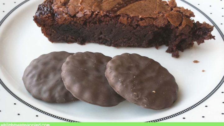 The Best Triple Chocolate Thin Mint Brownie Pie While He Was Napping
