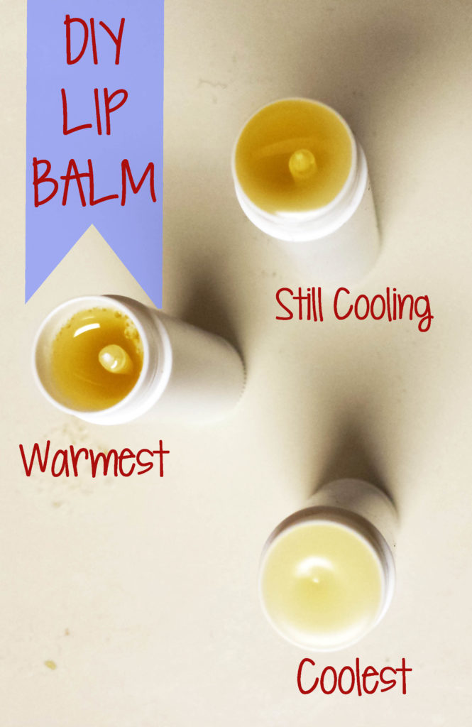 Bringing Innovation With 8 Ways to Live Green + DIY Lip Balm While He